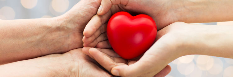 Being One with My Heart - Focus CPA
