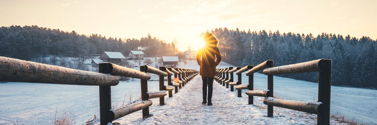 Finding Your Path - Focus CPA
